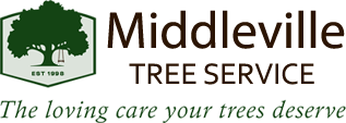 Middleville Tree Service